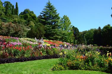 2020 09 03 Insel Mainau,_DSD_7085_b_488px